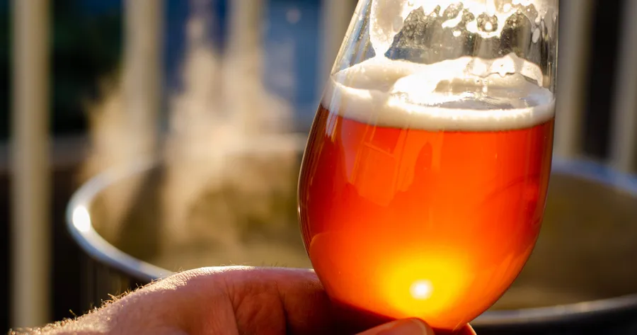 From Grain to Glass: Home Brewing Kits Ranked by Ease and Taste