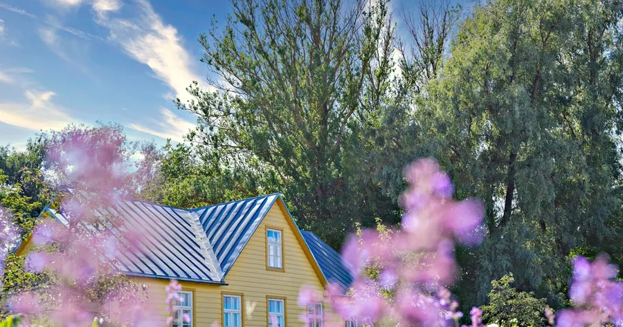 Converting Lawn to Wildflower Meadow: Step-by-Step with Tools