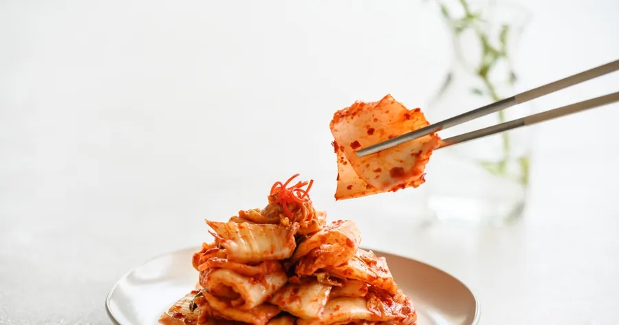 Countertop Fermenters: Automated Kimchi and Yogurt in One Machine