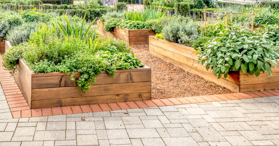 A Step-by-Step Guide to Starting Your First Garden