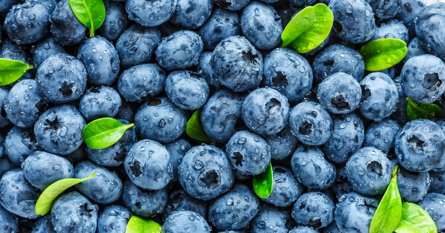 The Best Anti-Inflammatory Foods to Calm Your Body From Within