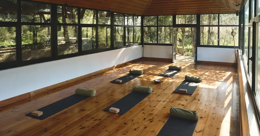 Top U.S. Wellness Retreats That Prioritize Health Over Wealth