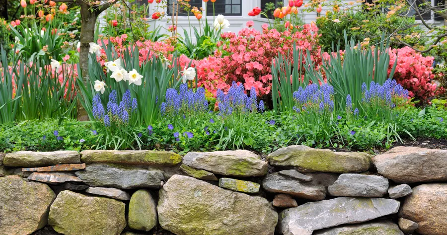 Low-Maintenance Landscaping Ideas for Busy Homeowners