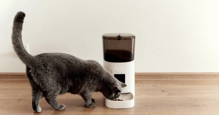 Tech for Pet Owners: Innovative Gadgets That Make Life Easier and Pets Happier