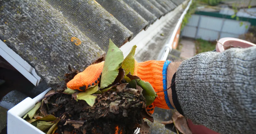 Professional Gutter Cleaning Services: When and Why to Hire Experts