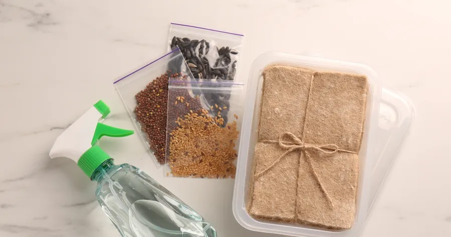 Herb Garden Kits That Turn Any Windowsill Into a Mini Oasis