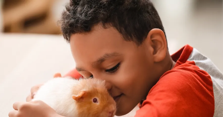 Best Pets for Apartment Living: Low-Maintenance Companions with Big Personality