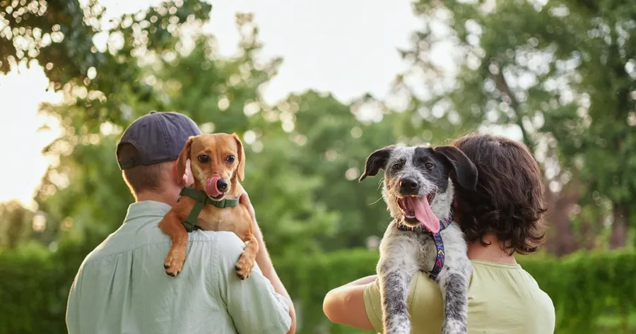 Adopting vs. Buying a Pet: What to Know Before You Bring One Home