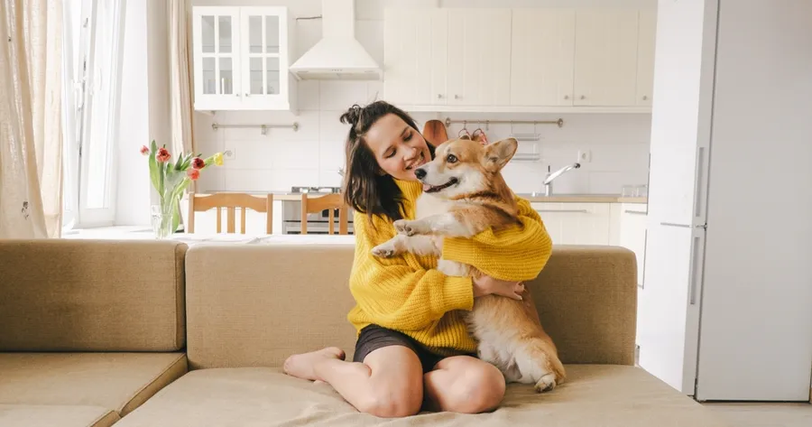 Pet-Proofing Your Home: How to Create a Safe and Happy Space for Your Furry Friend