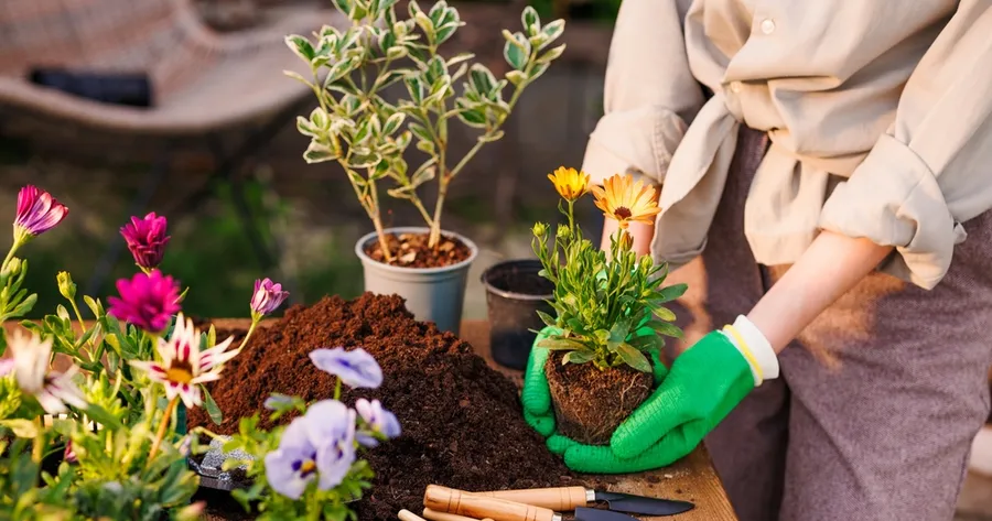 Essential Tools for the Modern Gardener