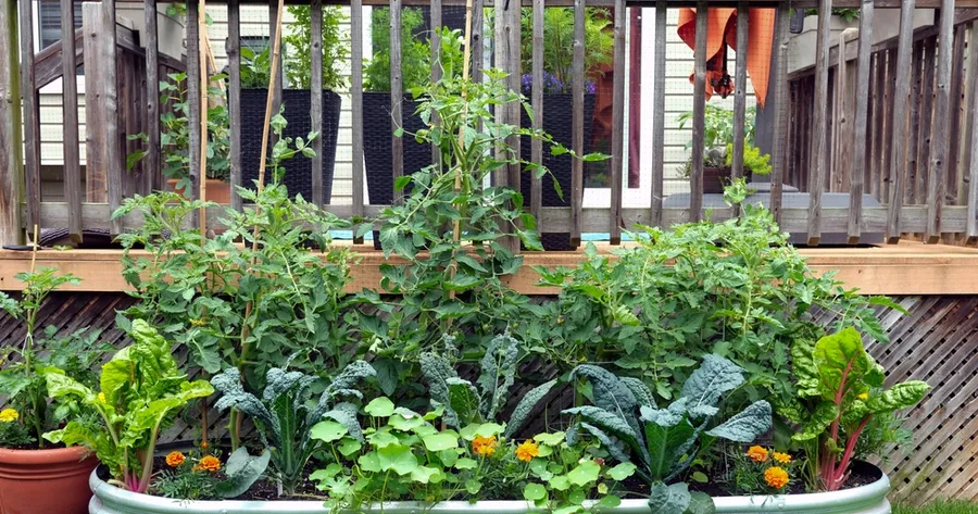 Seasonal Gardening Hacks: Keep Your Garden Vibrant All Year