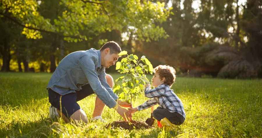Growing Together: Navigating the Stages of Family Life with Ease