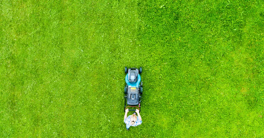 Tips For Finding Local Lawn Care Deals