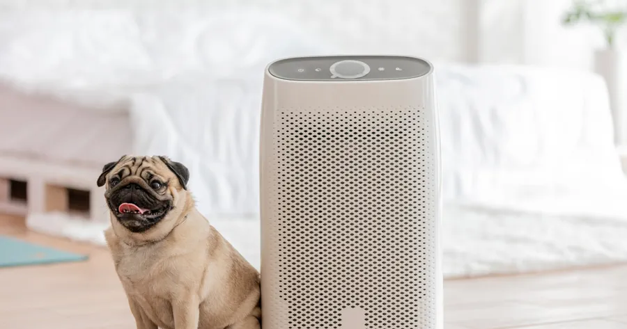 The Best HEPA Air Purifiers for Small Spaces and Bedrooms