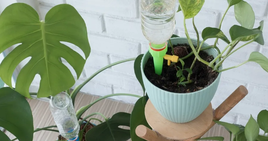 Self-Watering Planters: How They Work and Why They Save You Time