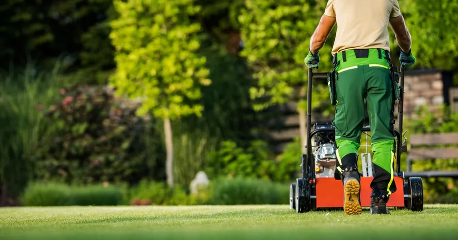 Professional Lawn Care for Less: Tips to Save Big