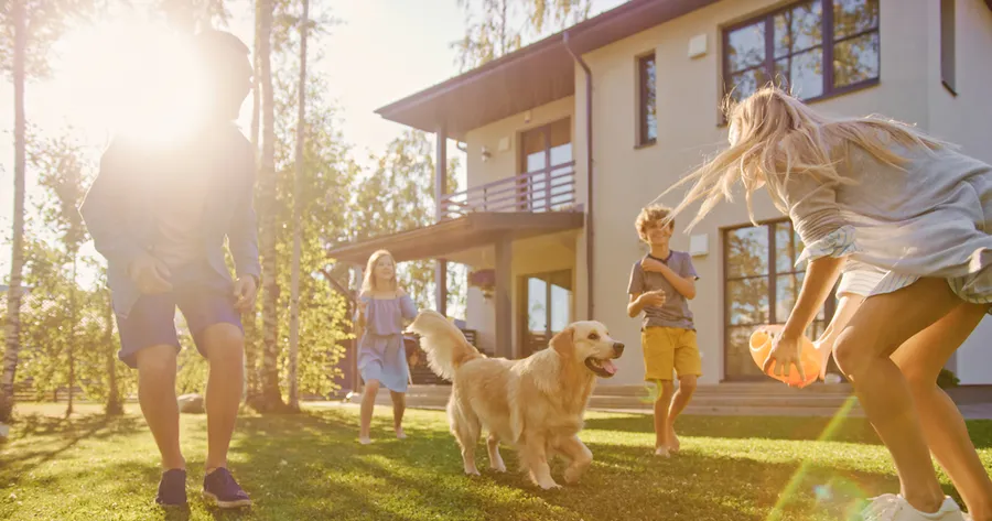 How To Create the Ultimate Backyard for Your Dog