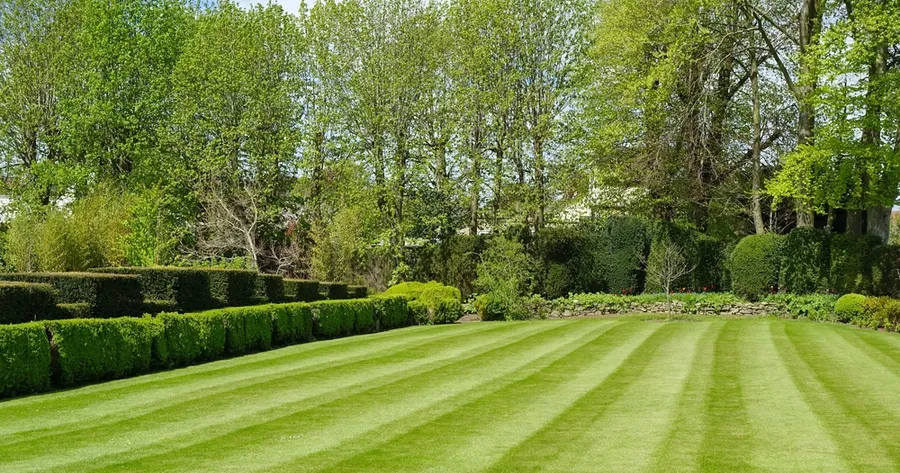 Seasonal Lawn Care: What Your Grass Needs in Spring, Summer, Fall, and Winter
