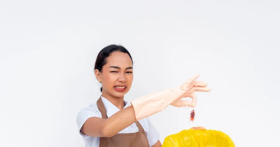How To Keep Pests Out of Your Home Naturally