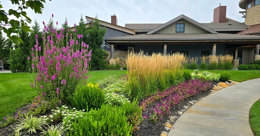 Spring Lawn Care Tips for a Greener, Healthier Yard