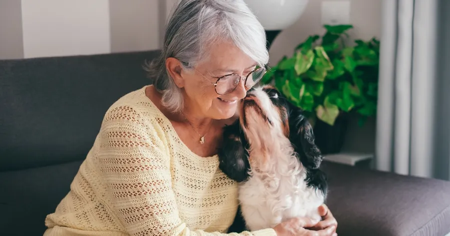 Pet Companions for Seniors: The Best Low-Maintenance Breeds and Benefits