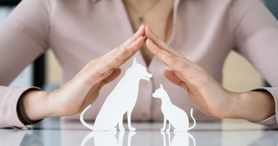 The Best Budget-Friendly Pet Insurance Plans