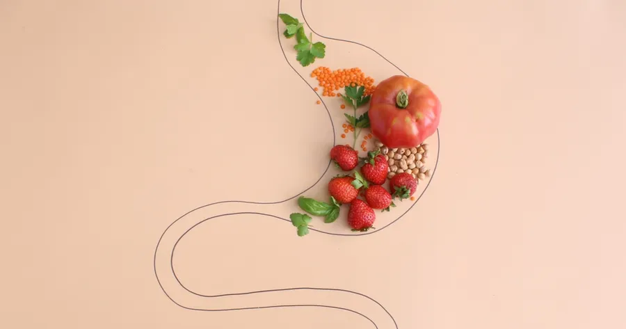 Proven Ways to Improve Your Gut Health for Better Digestion