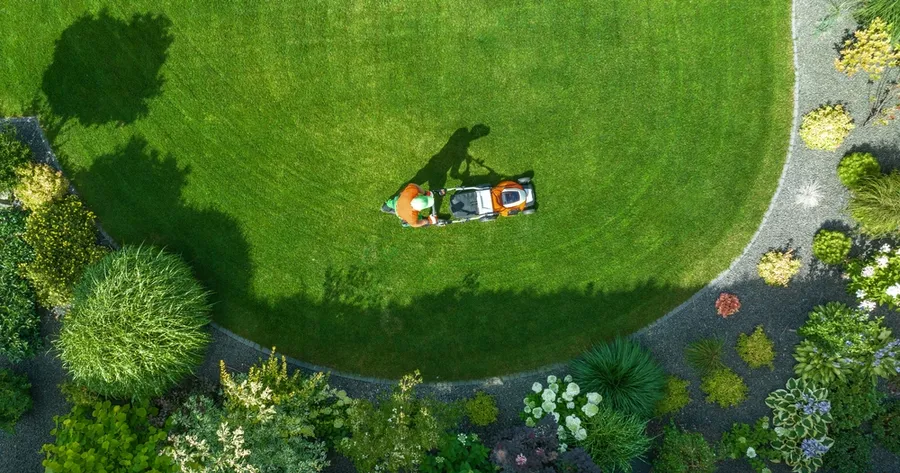 Top Tips for Maintaining a Lush Lawn