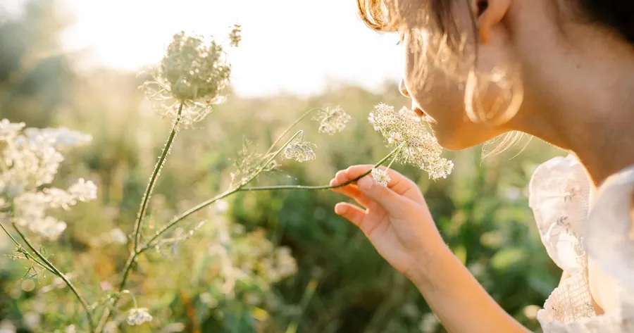 Slow Living: Come Abbracciare la Dolce Vita in un Mondo Indaffarato