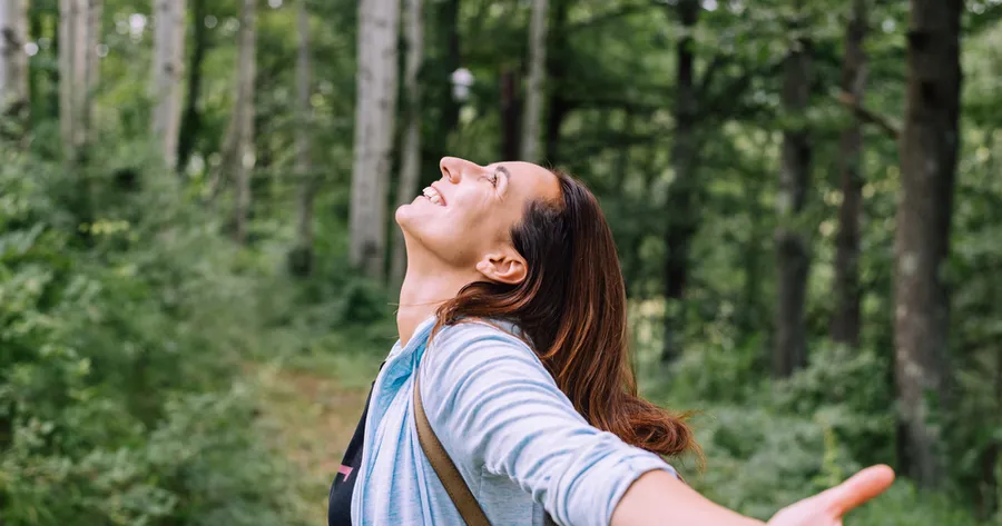 La gioia del bagno nella foresta: riconnettersi con la natura per raggiungere la pace interiore