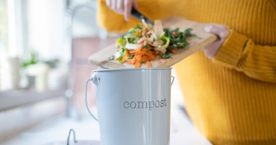 Eco-Friendly Home Swaps to Try This Year