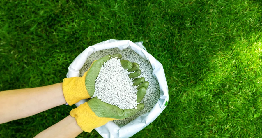 A Complete Guide to Preparing Your Lawn for Winter