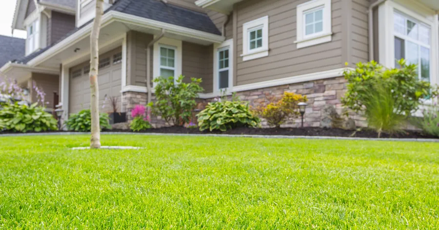 How to Keep Your Lawn Looking Perfect