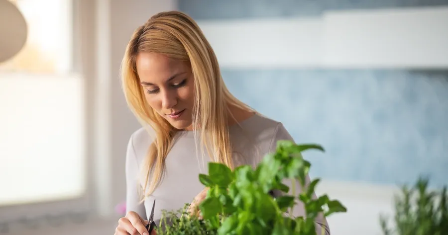 How to Start an Indoor Herb Garden for Beginners