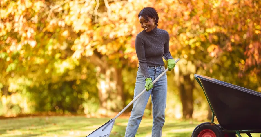 Seasonal Garden Tasks You Shouldn’t Skip (And When to Do Them)