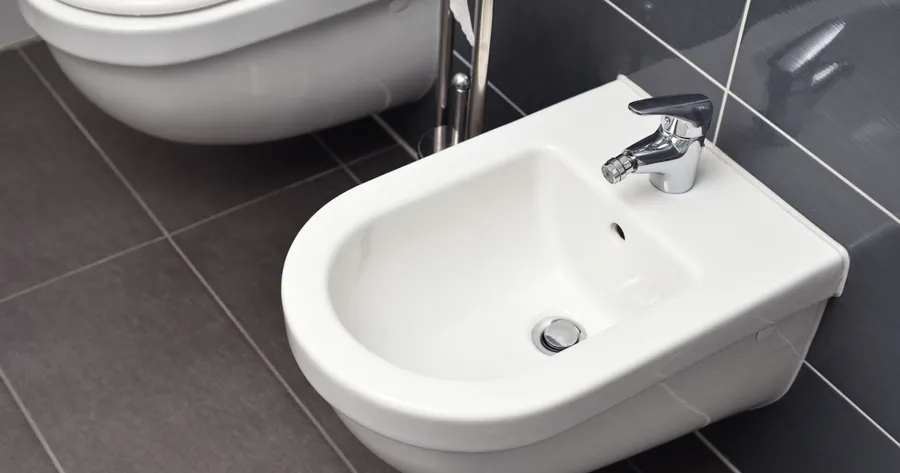 Bidets and Bidet Seats: A Guide to Comfort and Cleanliness