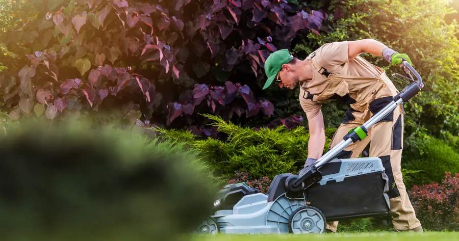 Lawn Care Services: Boost Beauty, Save Time, Go Green