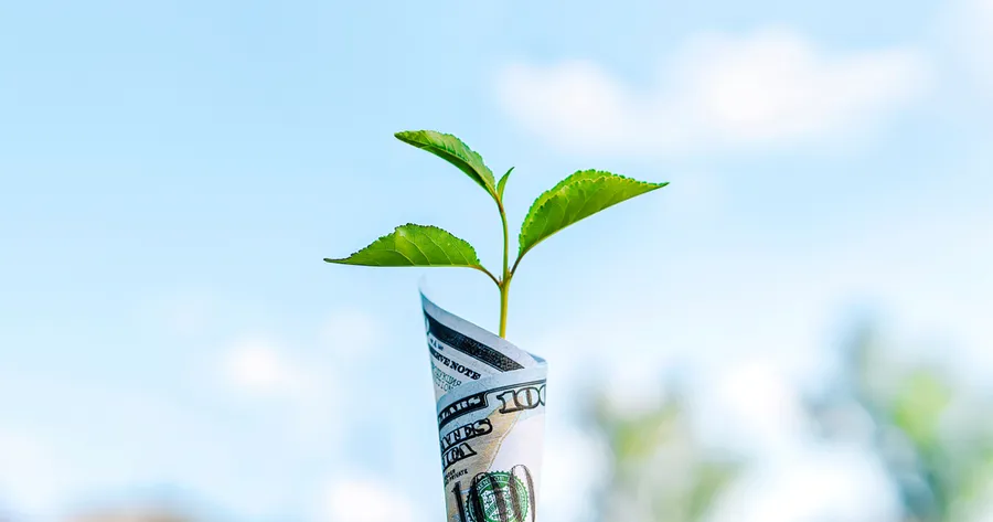 Building Wealth 101: Simple Habits That Grow Your Money Over Time