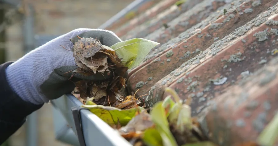 Seasonal Maintenance Tips Every Homeowner Should Know