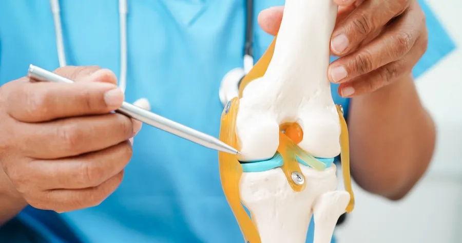 Fighting Knee Osteoarthritis Pain with Food: What Can Work?