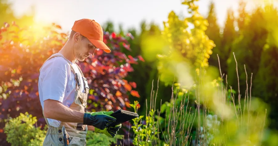 Ask This When Hiring a Landscaping Company