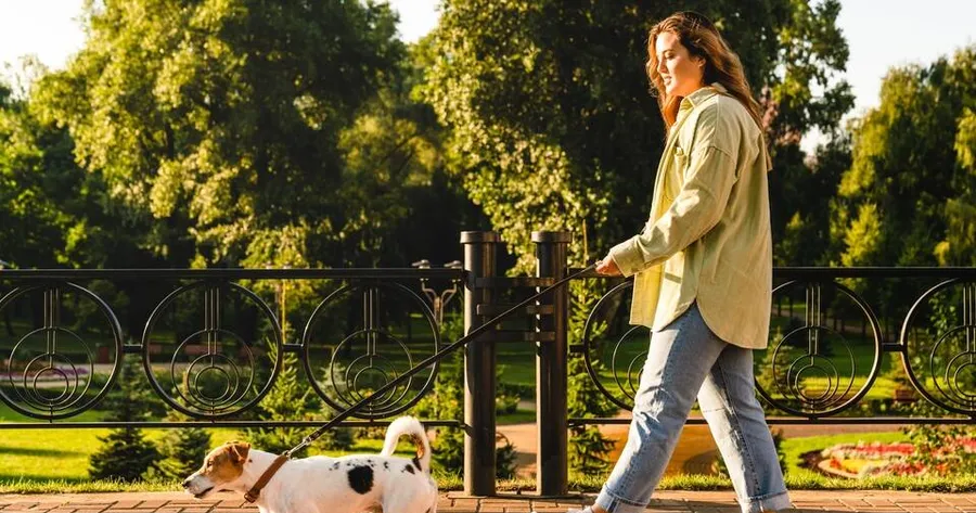 How to Add Movement to Your Busy Day