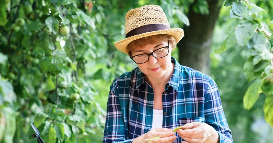 Italy’s Slow Living Movement: What to Adopt for a Calmer Life