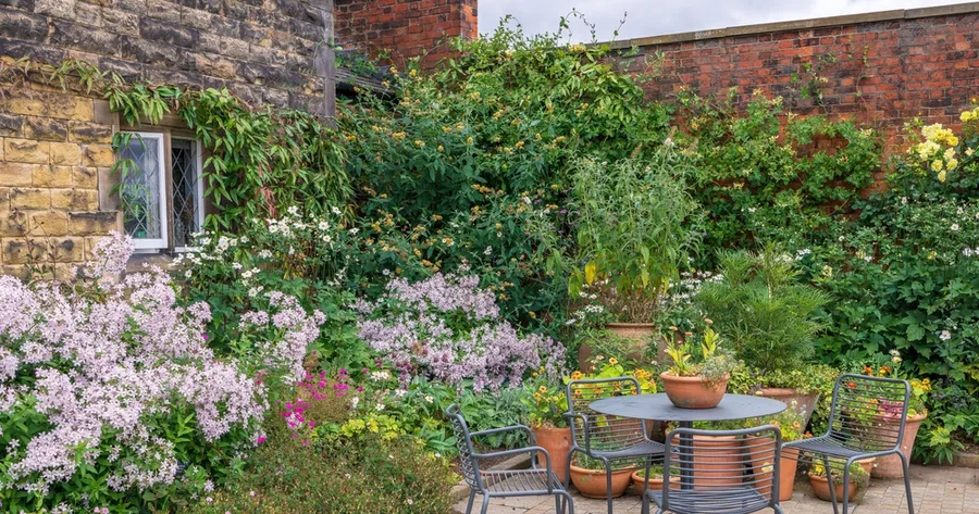 The Mediterranean Courtyard: Water-Saving Designs You Can Copy