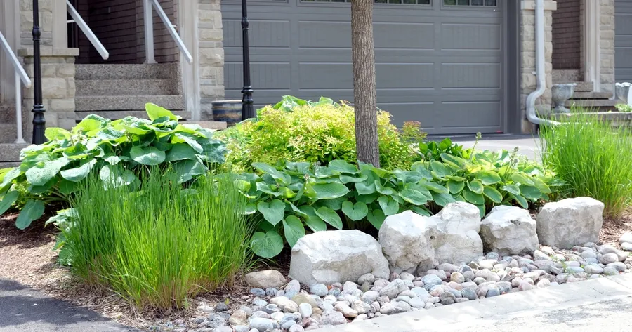 Smart Landscaping Tips That Save Water and Money