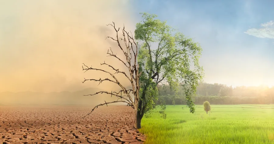 Scarcity Mindset vs. Abundance Mindset: Which Type Are You?