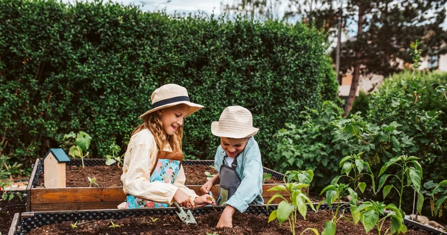Embrace the Season: Fun and Fulfilling Summer Hobbies to Try