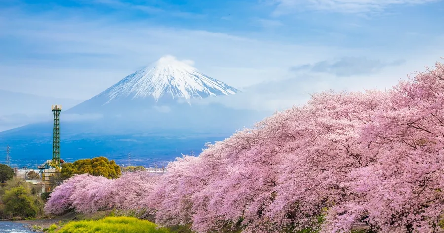 Seasonal Travel Hotspots: Where to Go for Spring Blooms, Fall Foliage, and More