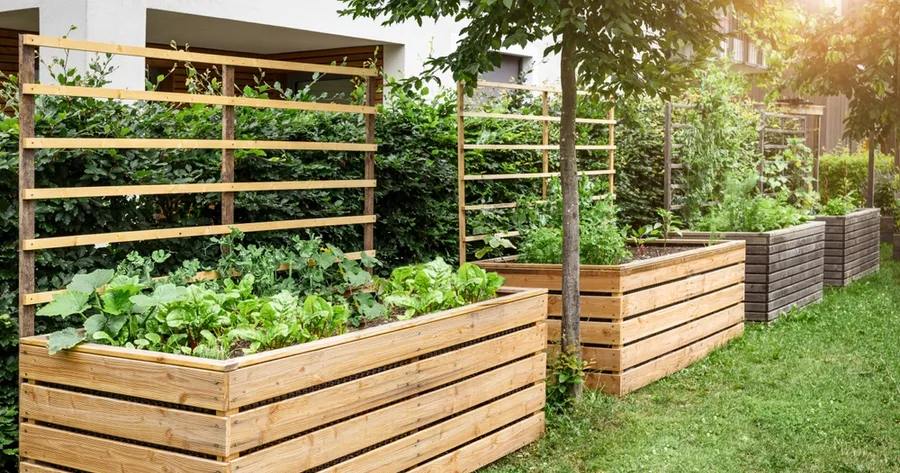 How Raised Garden Beds Make Growing Vegetables Easier