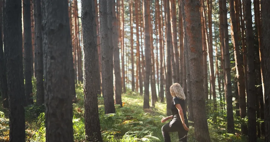 Top Forest Bathing Retreats In the U.S.